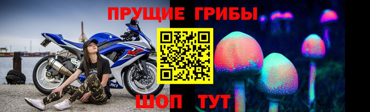 Галлюциногенные грибы Cubensis Миасс